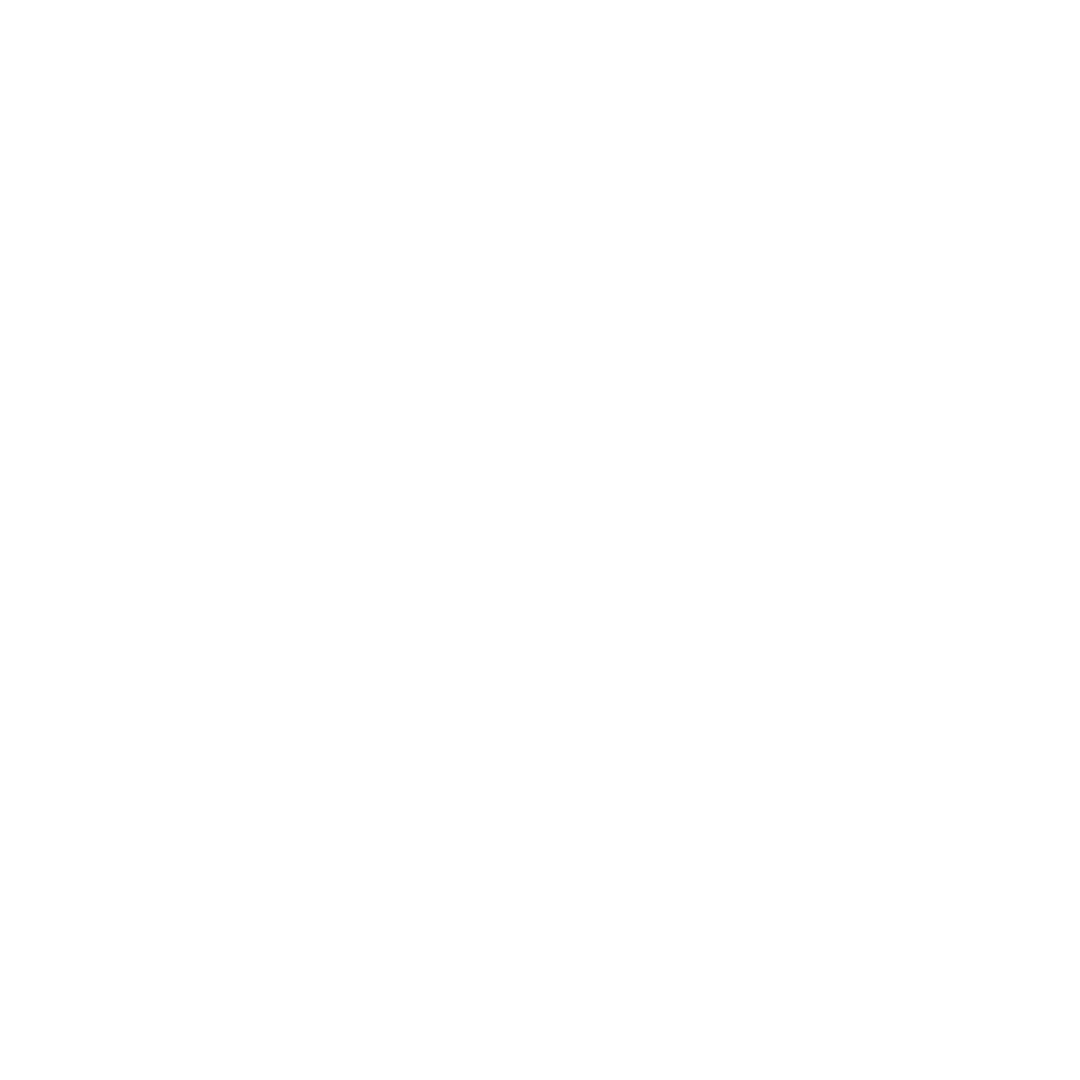 travlingvan
